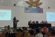 Tingkatkan Pelayanan Kesehatan, Dinkes Rejang Lebong Sosialisasikan ILP