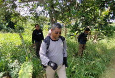 Ini Hasil Investigasi BKSDA Soal Beruang yang Melintas di Kompleks Perkantoran Kepahiang