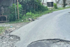 Jalan Berlubang Digenangi Air Makan Korban 