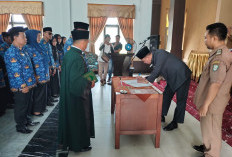 Menghitung Persentase Kemungkinan PPPK Paruh Waktu Diangkat Menjadi Penuh Waktu, Peluang Terbuka?