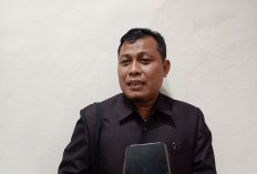 DPW PKS Bengkulu Usulkan Nama Cakada 3 Kabupaten ke DPP, Kepahiang Ada 2 Nama Ini