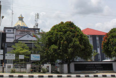 Wahai Pemkab Benteng, Angka Pengangguran Tembus Ribuan Orang