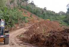 Pembersihan Material Longsor Makan Waktu 4 Hari: Jalan Lintas Desa Air Raman - Benuang Galing Kini Sudah Bisa 
