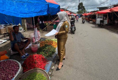 Harga Cabai Merah Kian 'Pedas', Tembus Rp 100 Ribu per Kg di Kepahiang