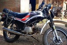 Ini Alasan Motor Legendaris Honda Win 100 Tetap Dilirik dan Eksis