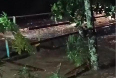 Hujan Deras: Camat Ujan Mas Imbau Warga Waspada Banjir