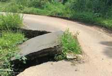 Bahaya, Jalan Amblas di Desa Karang Endah Butuh Perbaikan