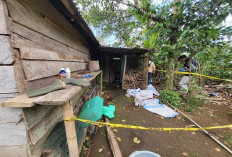 Polres Kepahiang Ungkap Hasil Konfrontir Kasus Ibu dan Bayi Tewas di Talang Tige