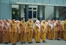 Soal THR ASN, Pemprov Bengkulu Tunggu Petunjuk Pusat