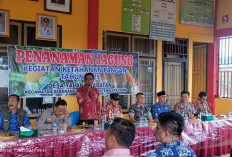  Bersama Wabup dan Forkopimda, Tanam Jagung di Desa Talang Babatan Sukses 