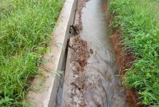 Beberapa Titik Irigasi Air Hitam Ambrol Dihantam Banjir 