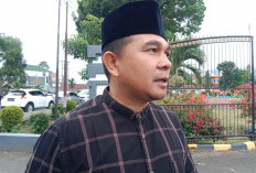 Pemkab Rejang Lebong Kebagian Sapi Kurban Presiden Prabowo, Segini Beratnya