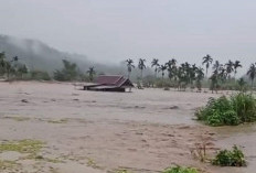 WALHI Bengkulu Nilai Kondisi DAS Sedang Tidak Baik-baik Saja