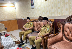 11 Sapi Kurban Presiden Prabowo Tiba di Bengkulu, Siap Dibagikan ke 10 Kabupaten/kota