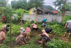  Wali Murid Dilibatkan Gotong Royong Membuat Kebun Sekolah 