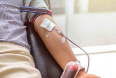 PENTING! Ini Syarat Donor Darah yang Perlu Diketahui 