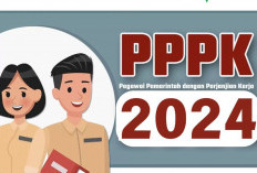 Pendaftaran PPPK 2024 Gelombang I, Banyak Non-ASN Database BKN dan K2 Tidak Ada Formasinya