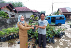  Lurah Ujan Mas Atas Kabupaten Kepahiang, Riska Oktavitria Layani Warganya di Lapangan 