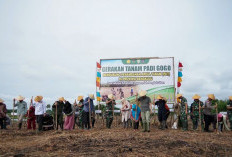 Pemprov Bengkulu Gelar Gerakan Tanam Padi Gogo di Pulau Terluar