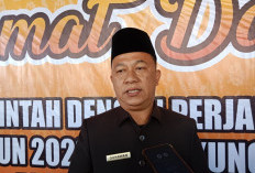 Ikut Pilkada 2024, Dua ASN Pemprov Bengkulu Resmi Mundur, Satu Lainnya Berproses