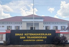 181 Kartu Kuning Diterbitkan Disnakertrans Lebong