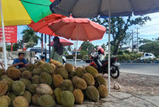 Ini Efek Negatif Jika Konsumsi Durian Berlebihan bagi Kesehatan