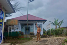 Sambut HUT KemRI Ke-80: Kampung Bogor Kepahiang Kibarkan Bendera Raksasa 