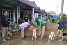 Vaksinasi HPR Sasar 23 Desa/kelurahan di Rejang Lebong