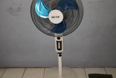 Hemat Listrik dan Terjangkau, Ini 3 Rekomendasi Kipas Angin Buat Anak Kos