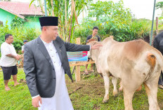 Idul Adha 1.321 Ekor Hewan Kurban Disembelih: Bupati Zurdi Nata Kita Harus Rela Berkorban untuk Kemajuan Kepah