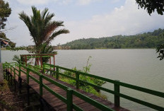 Lagi, PAD Wisata Pulau Harapan Tahun 2025 Nihil