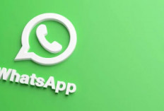  Begini Cara Memulihkan WhatsApp Terkena Spam