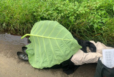 Polres Rejang Lebong Ungkap Kasus Kematian Wanita di Jalan Duku Ulu