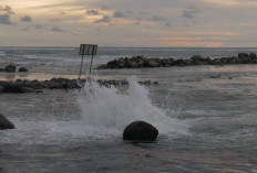 Suhu Air Laut Kawasan Teluk Sepang Bengkulu Naik 6 Derajat Celcius, Ini Penyebabnya