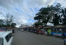 Soal Pungli di Terminal Kepahiang, Saber Pungli Periksa Saksi