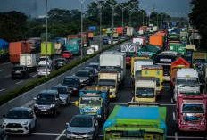 Bikin Mudik jadi Asyik, Ini Tips Mengatasi Mabuk Perjalanan