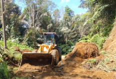 Waspada! 4 Kecamatan di Rejang Lebong Rawan Longsor