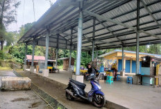 Pedagang di Objek Wisata Kebun Teh Kabawetan Sepi Pembeli: Sampaikan Harapan Ini ke Pemkab Kepahiang