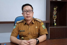 Tahun 2026 Kabupaten Lebong Tanpa DAK Kesehatan