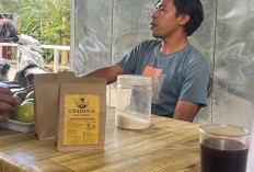Tetap Berdiri Kokoh Meski Diterjang Badai Ongkos Produksi: Ini Rahasia Di Balik Secangkir Kopi Nikmat di Kepah