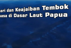 Misteri dan Keajaiban Tembok Raksasa di Dasar Laut Papua