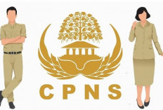 Minim Peminat, Ini 10 Instansi dengan Jumlah Pelamar Terendah CPNS 2024