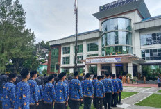 355 Honorer Rejang Lebong Jadi PPPK Paruh Waktu