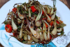 Daun Kucai:  Menjaga Kesehatan Tubuh hingga Atasi Kolestrol Tinggi 