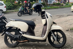 Mulai Rp 11 Jutaan, Berikut Daftar Harga Honda Scoopy Bekas 