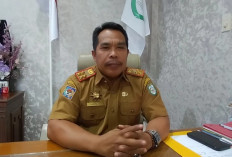 Pengangkatan PPPK Ditunda, Bagaimana Nasib Honorer di Kepahiang? Ini Kata Sekda Dr. Hartono 