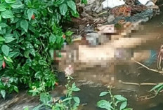  Mayat Perempuan Ditemukan di Aliran Sungai Blitar Muka