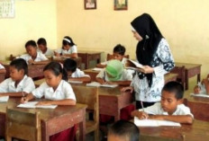 Tahun 2025, 176 Ribu Guru Honorer Diangkat PPPK, Dirjen Nunuk : Kebutuhan Guru Masih Kurang