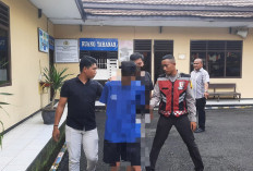 Kenalan Michat Berujung Pencabulan, Oknum Bujang Kepahiang Ditangkap Polisi