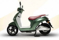 5 Komponen Motor Listrik yang Harus Diperhatikan Saat Musim Hujan